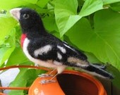 Mr. Rose Breasted Grosbeak, needle felted bird fiber art sculpture