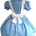 Alice in Wonderland Halloween Costume blue dress white apron costume custom size made to measure plus size