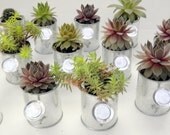 1 Succulent Watering Can Favor, A sample to Try before you Buy.