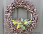 Succulent Plants meet a Grapevine  Wreath 16 inch