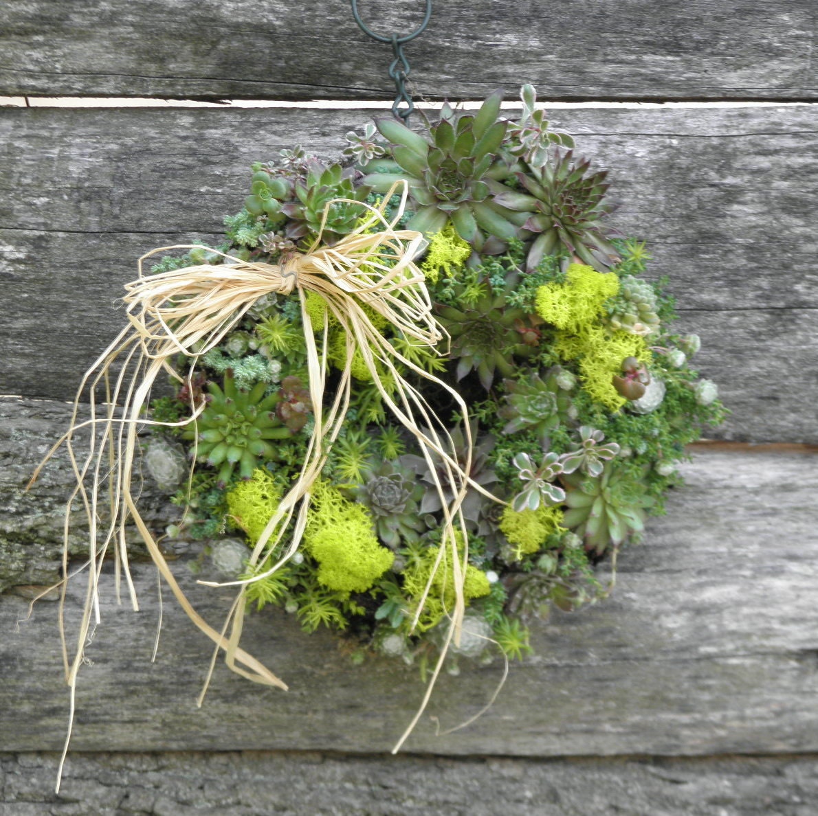 Succulent WREATH KIT - -  DIY 11"