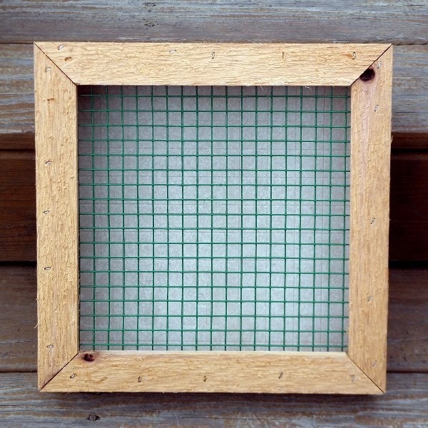 Succulent Vertical Living Wall Art Kit, 12 inch, Buy this or we can make custom sizes.