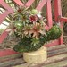 Sluggo the Snail Topiary Mini Garden Creature