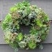 Succulent Wreath, JUMbO Round 16 inch, Living Mosaic WREATH - Cold hardy