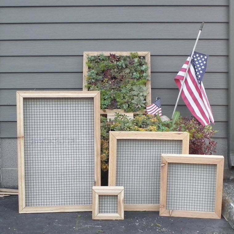 Succulent Vertical Living Wall Art Kit, 12 inch, Buy this or we can make custom sizes.