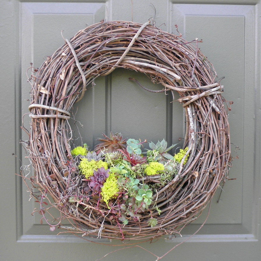 Succulent Plants meet a Grapevine Wreath 16 inch