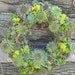 Sea Shell Garden Planter - Sweet Garden Gift ,  Easy to care for, perfect for desk.