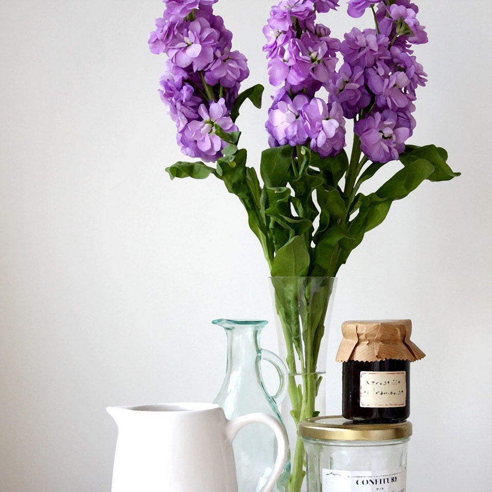 Corner of my Kitchen