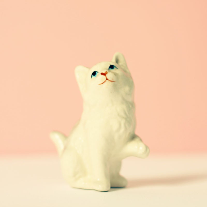 Vintage Kitten