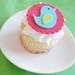 Colorful Modern Bird Fondant Cupcake Toppers for Birthdays, Showers, and Other Events