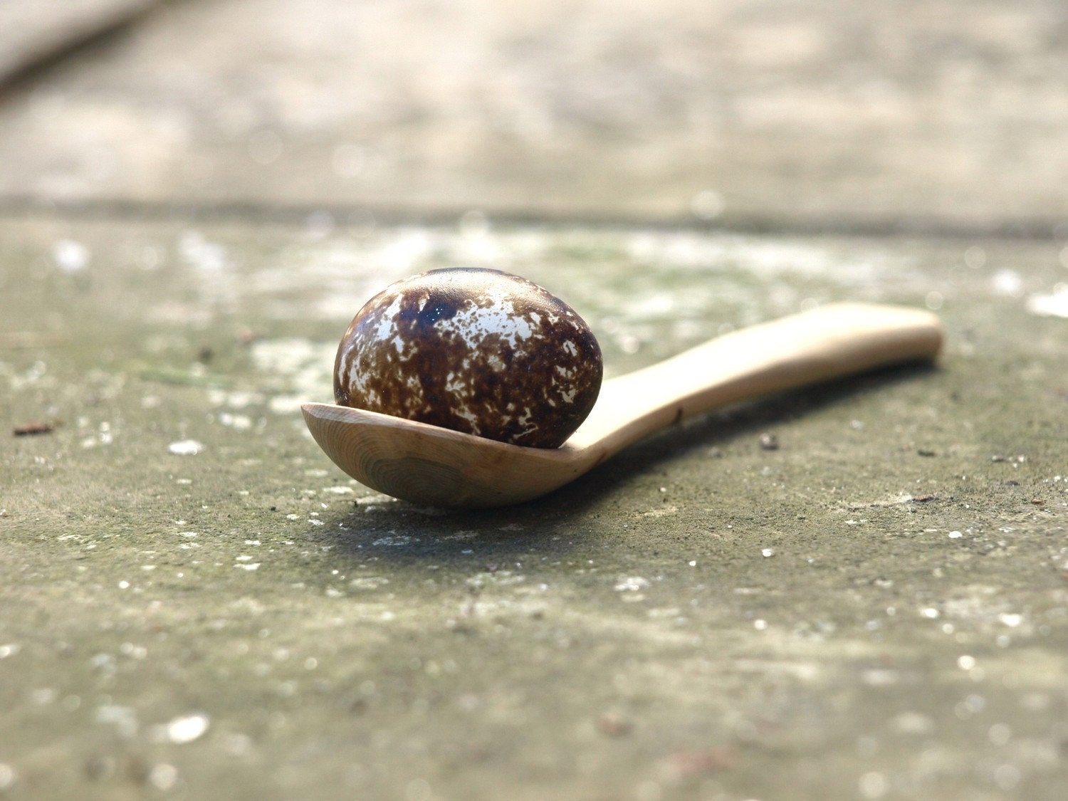 wooden spoon - size small /juniper