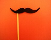 Mustache on a Stick - The Burt