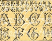 antique art deco alphabet monogram roses embroidery pattern digital download