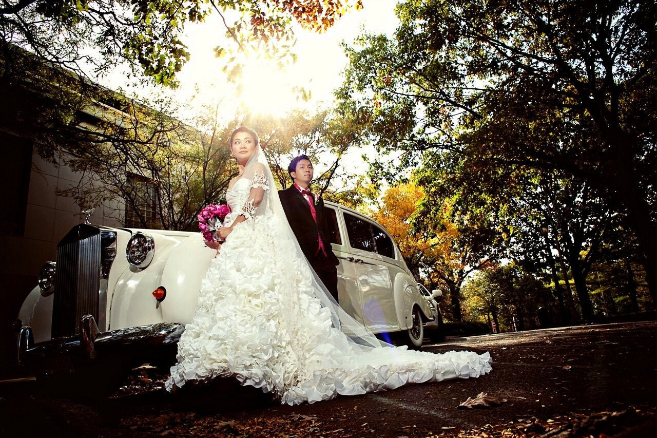 Sunday Rose Monique Lhuillier Inspired Wedding Gown