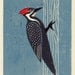 Pileated Woodpecker handpulled linocut art print