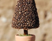 Scented miniature Topiary Tree  - fir tree Christmas tree - Home decor - table top