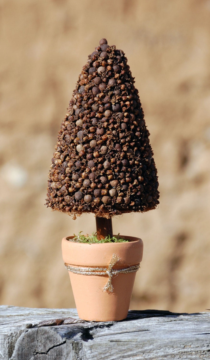 Scented miniature Topiary Tree  - fir tree Christmas tree - Home decor - table top
