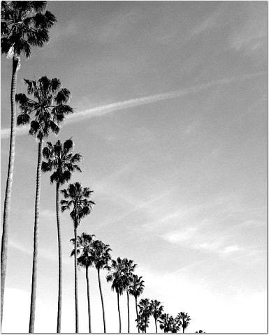 California