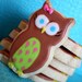 Hoot Hoot Party Owl cookie favors - one dozen