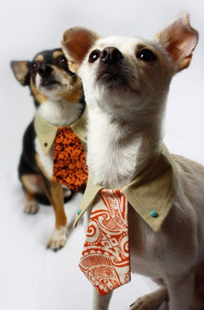 Dog collar shirt and tie