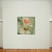 Self 8 x 8 Print