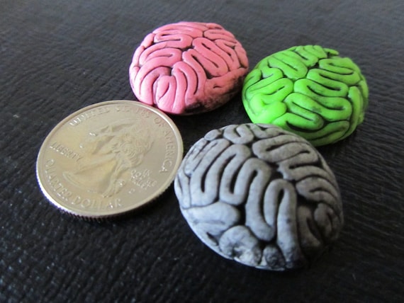Brain magnets chocolate (poo for brains)