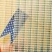 10 Printed Glassine Envelopes- Blue Dot
