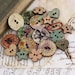 Wooden Buttons  - Prima