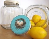 1 Gallon French Country Farmhouse  Vintage Style Storage Jar Canister Cottage Chic  Aqua Blue with Nest