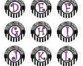 DAMASK Breast Cancer Awareness 1 inch round digital images for bottle caps, scrapbooking, tags 4X6 graphics collage sheet