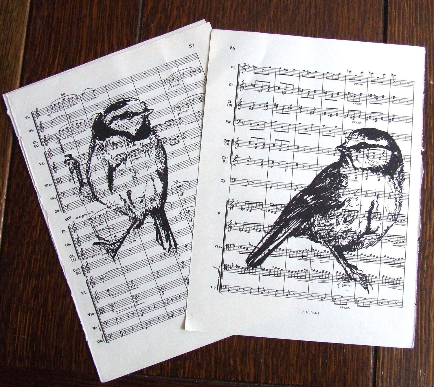 Song Bird Print Blue Tit Gocco Music Book Prints Pair