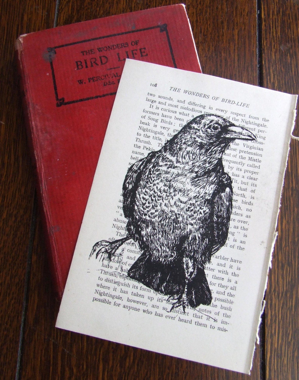 Gocco Book Print Raven Wonders of Bird Life