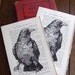 Gocco Book Print Raven Wonders of Bird Life