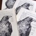 Gocco Book Print Raven Wonders of Bird Life