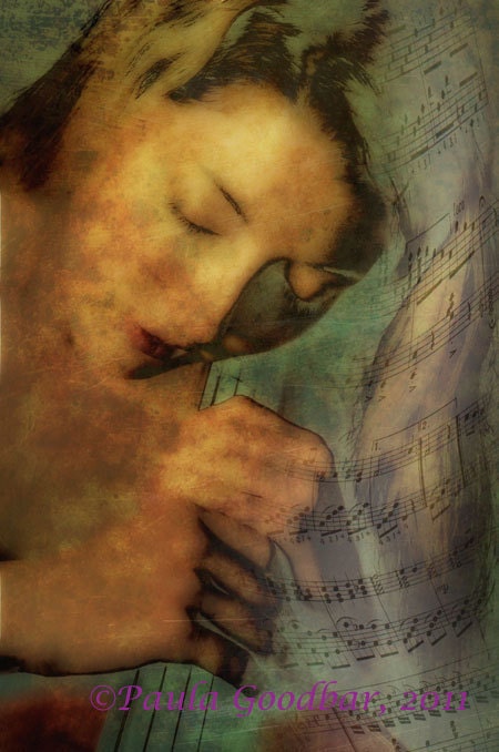 The Cello and a Woman Making Music - Serafina's Secret - 8x10 archival photographic print