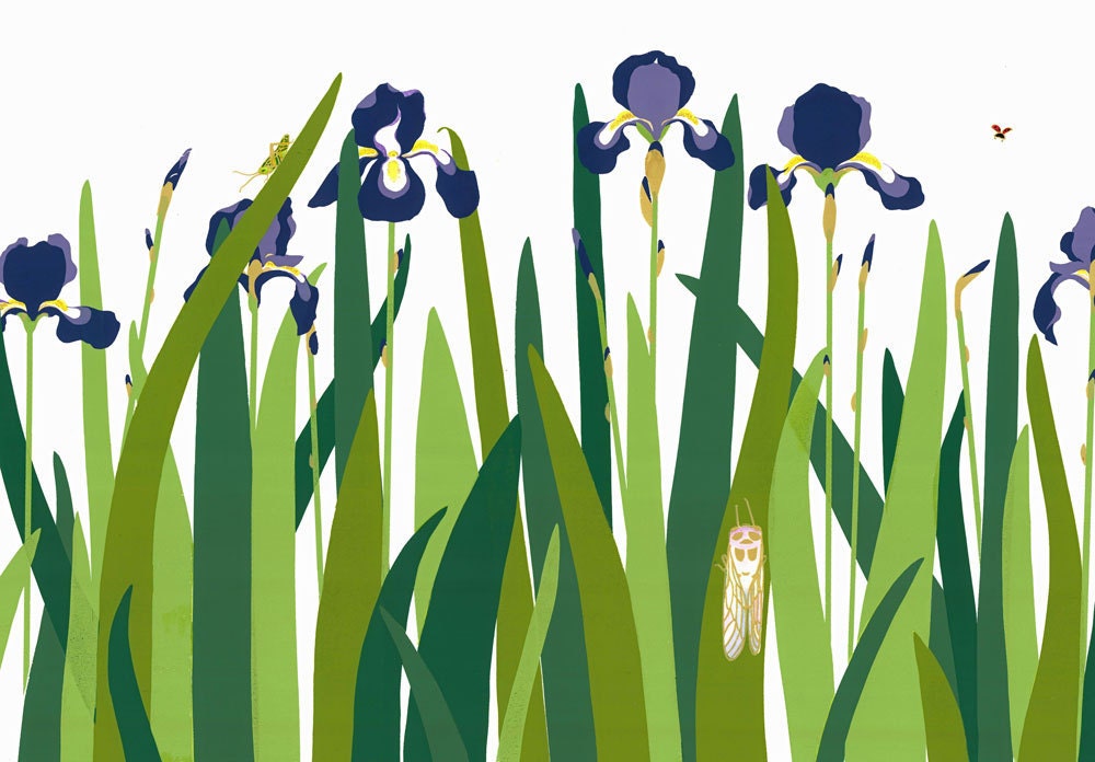 Irises - Set of six Greeting Cards