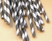 Gray Striped Paper Straws (50) Il_170x135