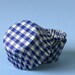 Blue Gingham Cupcake Liners (45)
