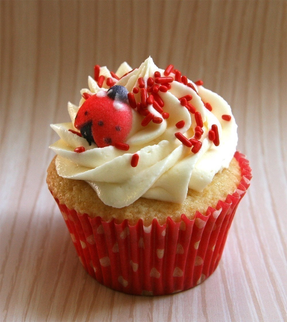 Ladybug Cupcake Kit - Cupcake Liners, Sprinkles and Toppers - for 24 Cupcakes