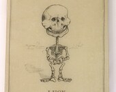 Lucy Skeleton (Panel)