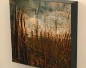 Wall Decor - 10 in x 10 in Photography Wall Block - Your Choice of Print