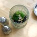 Three Terrariums in Vintage Containers, Pixie Homes