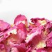 Pink Rose Homegrown Potpourri