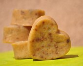Raspberry Aloe Face Wash Facial Soap Bar. Soothing for Dry and Sensitive Skin