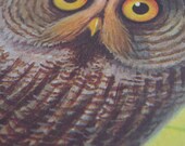 The Zoo Book VINTAGE Childrens Book