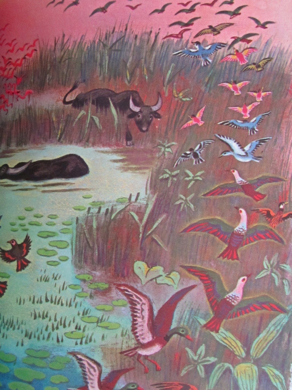 The Jungle Book 1963 VINTAGE Childrens Book