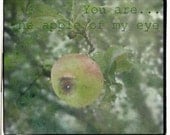 You Are .... The Apple of my Eye LIMITED EDITION ARCHIVAL GICLEE FINE ART PRINT 8 x 7 (19.5 x 17.5 CM)