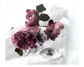 A Winters Still Life I - Limited Edition Archival Giclee Photgraphic Fine Art Print