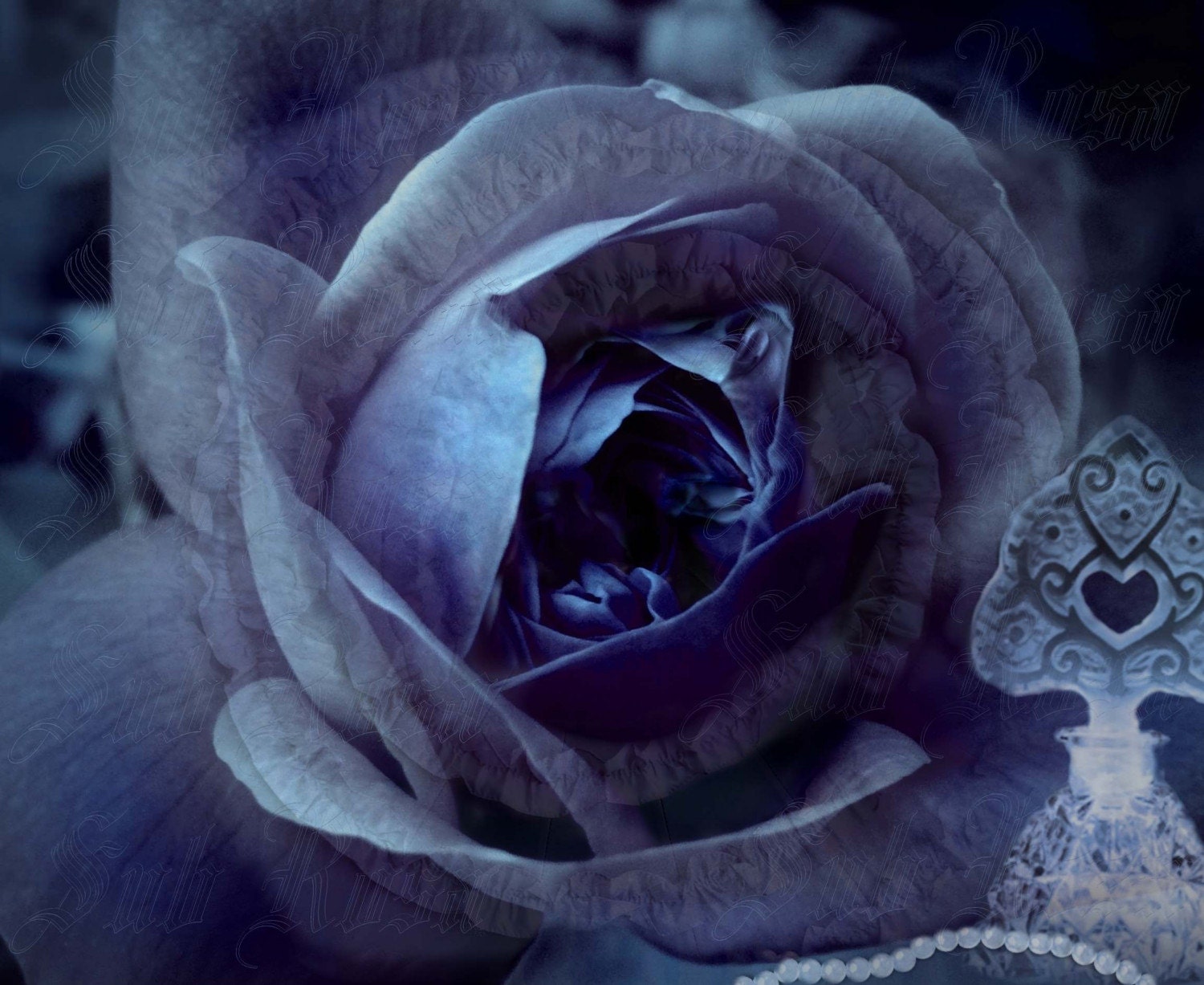 Sub Rosa III - LIMITED EDITION ARCHIVAL FINE ART PRINT 14 x 12