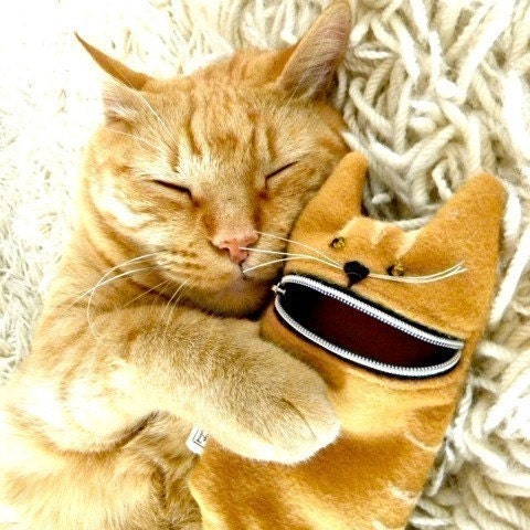 iPhone case or camera case: cute iPhone / cute hungry cat gadget case, handmade from ginger wool